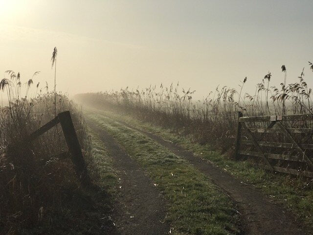 Norfolk Walks