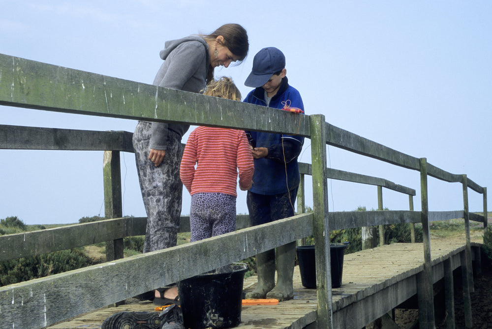 Crab Fishing In Blakeney Norfolk